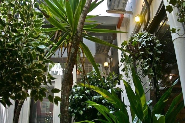 Hotel Mango Tree Place - Hideaway